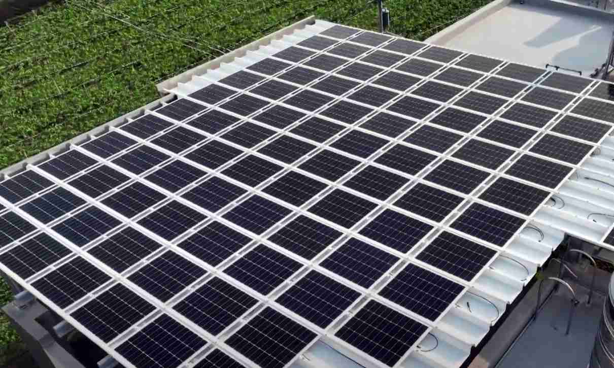 龙门国际SunSteel光电浪板升级双玻结构，，以提升机械负载强度及气候耐候度，，，可广泛运用于多元场域